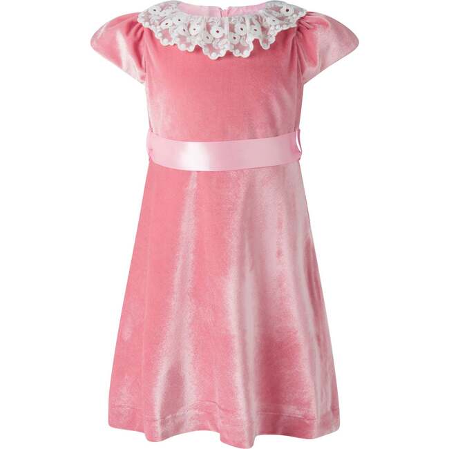 Lace Collar Velvet Dress, Pink