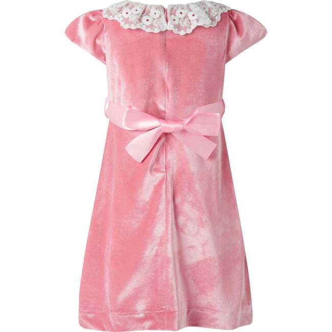 Lace Collar Velvet Dress, Pink - Dresses - 2