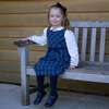 Check Flared Dress, Navy - Dresses - 3