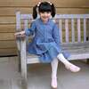 Chambray Shirt Dress, Navy - Dresses - 3