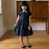 Blackwatch Plaid Dress, Navy - Dresses - 3