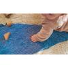 Beach Ball Washable Round Wool Rug, Blue - Rugs - 5