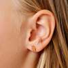 Candy Stud Earrings, Multi - Earrings - 2
