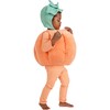 Pumpkin Patch Costume - Pajamas - 3