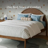 Bondi Full Bed in Natural Walnut - Beds - 3