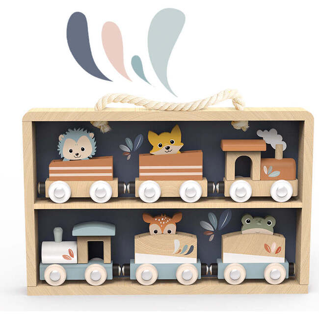 Train Set Display Case