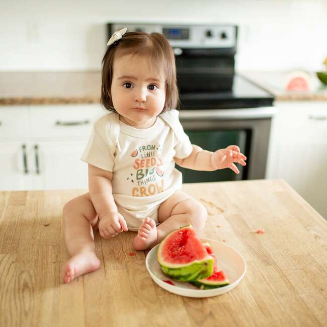 Graphic Bodysuit, From Little Seeds - Onesies - 2
