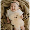 Cozy Bear Plush, Tan - Plush - 1 - thumbnail