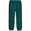 Colorblock Stripe-Out Joggers, Jade - Sweatpants - 1 - thumbnail