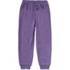 Colorblock Dragon Joggers, Ultraviolet - Sweatpants - 3