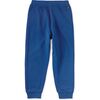 Colorblock Dragon Joggers, Galactic Blue - Sweatpants - 3