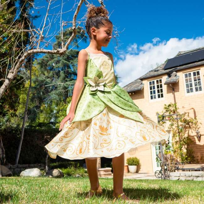 Disney Princess Tiana Washable Dress Up