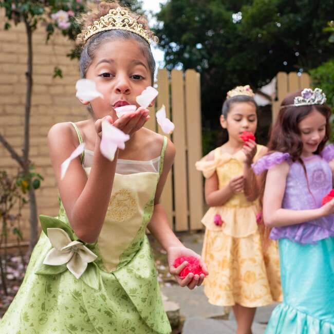 Disney Princess Tiana Washable Dress Up - Costumes - 3
