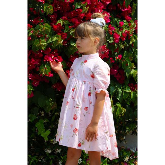 The Madeleine Dress, Blush Rose