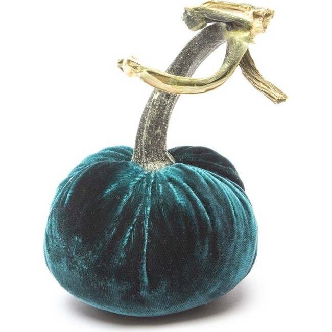 Silk Velvet Pumpkin, Sea