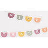 Thanksgiving Fabric Garland - Party - 1 - thumbnail