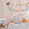 Pug Plates - Party - 3