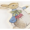 Peter Rabbit™ Reusable Plate - Party - 2