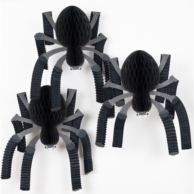 Honeycomb Spiders