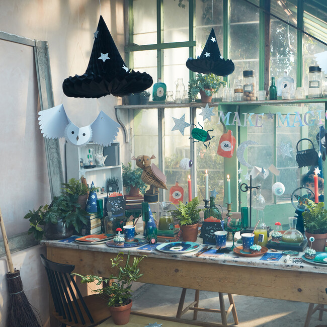Honeycomb Owls - Party - 2