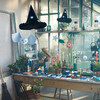 Honeycomb Owls - Party - 2