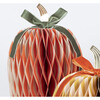 Fall Stripe Paper Honeycomb Pumpkins - Party - 3