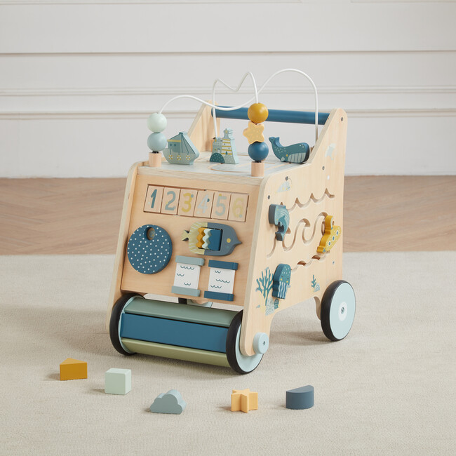 Busy Busy Baby Walker - Push & Pull - 2