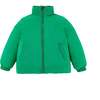 Blake Reversible Down Puffer, Dino Camo - Jackets - 3