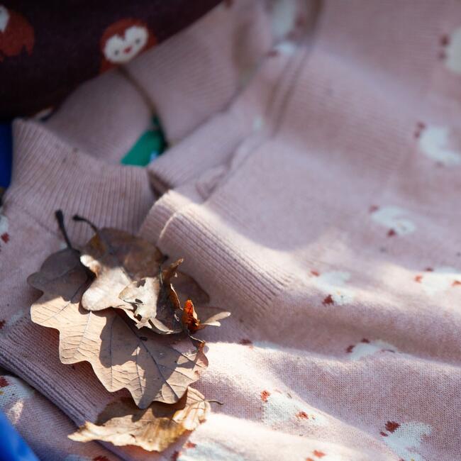 Little Ducks Knitted Cardigan, Oatmeal