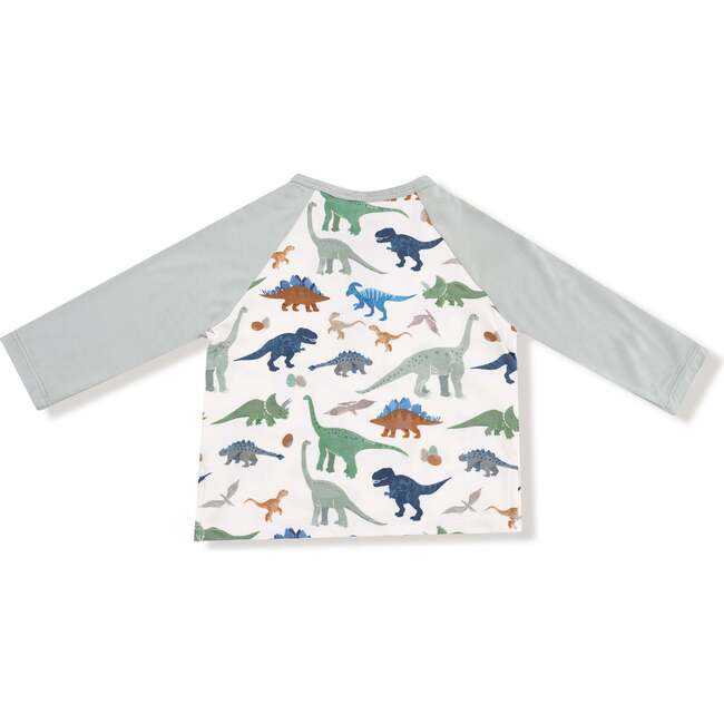 Long Sleeve Raglan Henley + Jogger, Washy Dinos - Mixed Apparel Set - 2