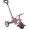 Explorer Trike 4in1 ECO, Berry - Tricycles - 9 - thumbnail