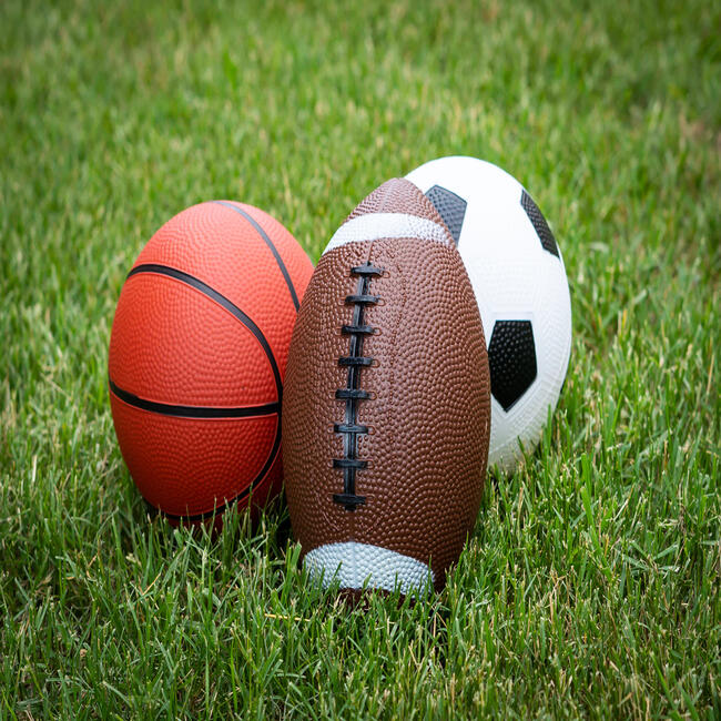 Toysmith Pro-Ball Set: Soccer, Basketball, Football - Sports Gear - 3