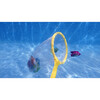Fish Catch Game-Net with handle and 6 brightly Colorful Fish - Water Toys - 2