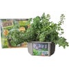 Unique Gardener: Culinary Herb Collection - Arts & Crafts - 7