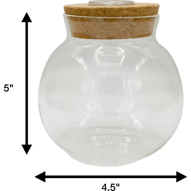 Glass Terrarium: 4" With Cork & 3 LEDs - 2 Pack - Arts & Crafts - 3