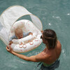 Interactive Baby Float: Strawberry Sunshine, Pink - Pool Floats - 4 - thumbnail