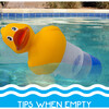 Pool Chlorinator: Duck - Small - Pool Toys - 4