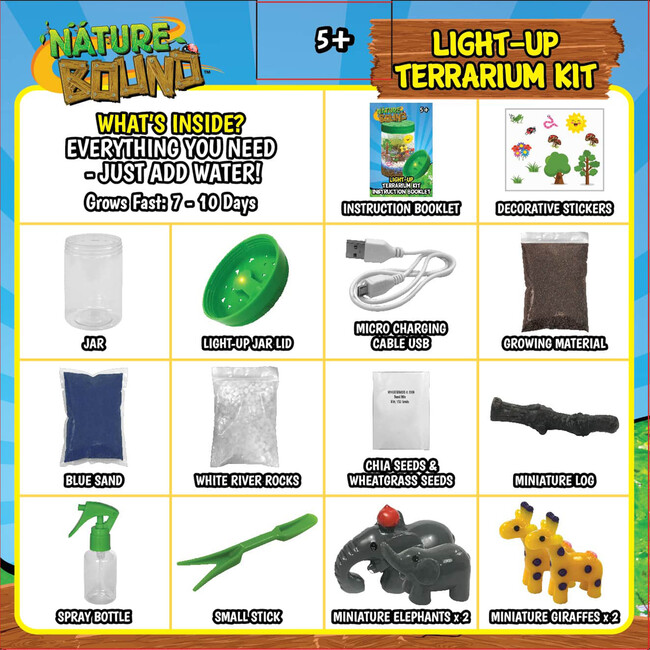 Nature Bound: Light-Up Terrarium Kit - Green - Outdoor Games - 3