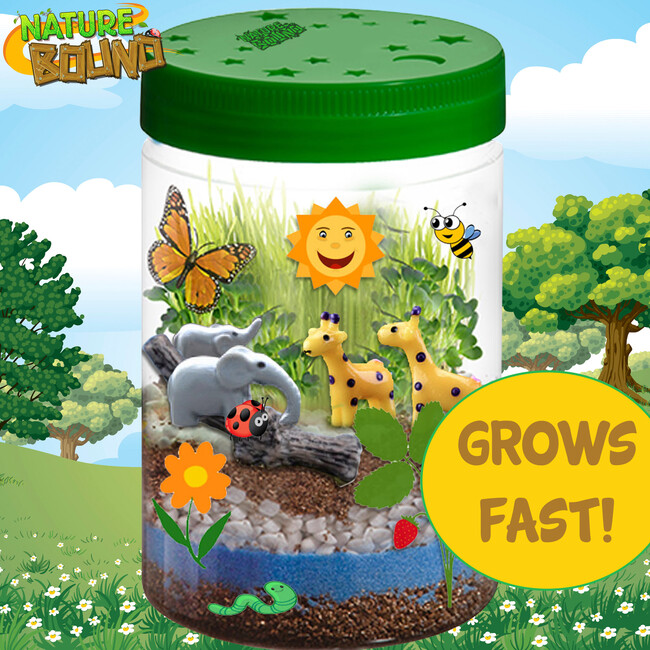 Nature Bound: Light-Up Terrarium Kit - Green - Outdoor Games - 5