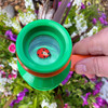 Nature Bound: Bug Catcher & Viewer - Outdoor Games - 7
