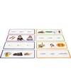 Rainbow Phonics - Phonemic Awareness Sounds - STEM Toys - 3 - thumbnail