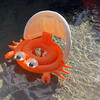 Sunnylife: Baby Float - Sonny The Sea Creature - Pool & Water Inflatable Ring - Pool Floats - 2