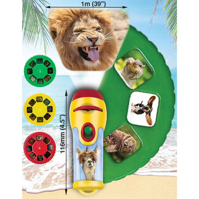 Brainstorm Toys: Funny Animals Torch & Projector - Developmental Toys - 3