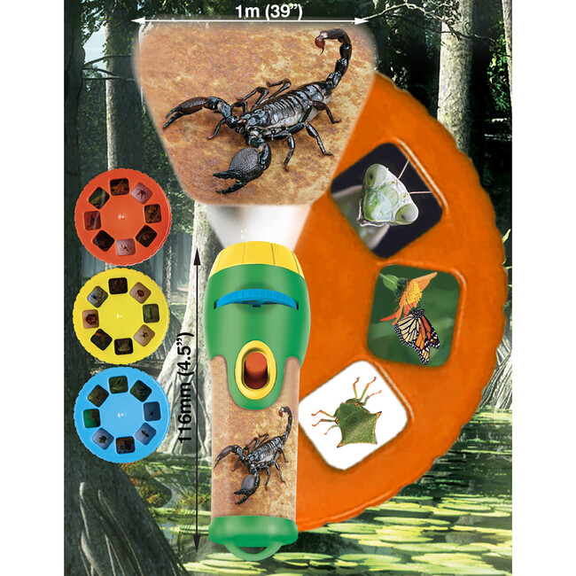 Brainstorm Toys: National History Museum Creepy Crawly Torch & Projector - Developmental Toys - 3