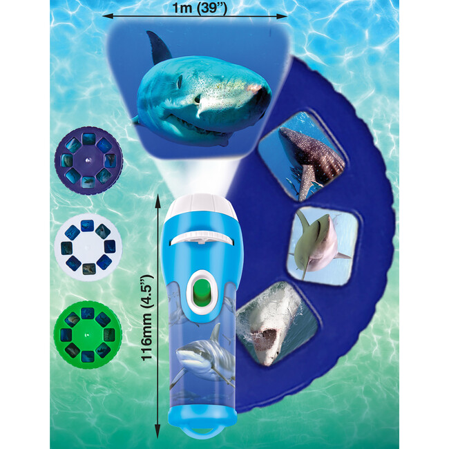 Brainstorm Toys: Shark Torch & Projector - Developmental Toys - 3