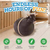 Rodeo Bouncy Bull Inflatable Hopper Ride-on - Ride-Ons - 3