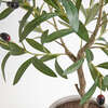 Tree Olive Topiary Pot 34in - Plants - 3