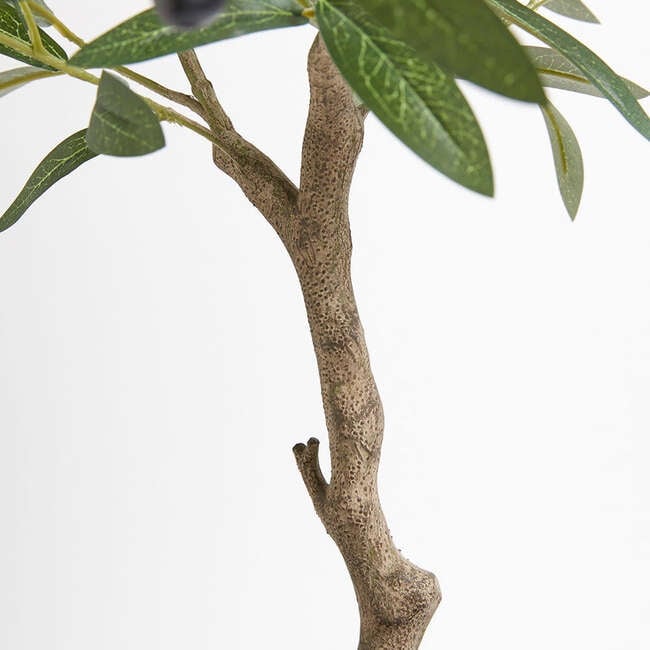 Tree Olive Topiary Pot 34in - Plants - 4
