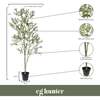 Tree Olive Whispy Grower 7ft - Plants - 4