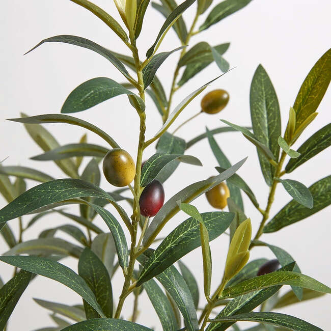 Tree Olive Topiary Pot 34in - Plants - 5